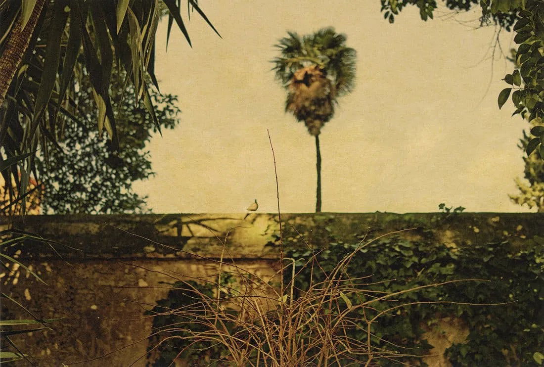 Albarran Cabrera Print: Albarran Cabrera Print. The Mouth of Krishna #159, "2013". Printed in 2020. 7.20 x 4.85 inches. Please be aware that all lots in our auctions are sold "AS IS," in accordance with the Terms &