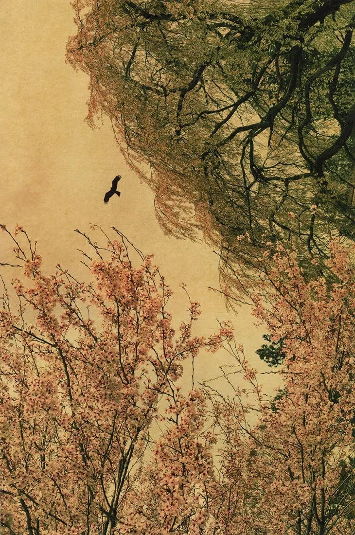 Albarran Cabrera Print: Albarran Cabrera Print. TThe Mouth of Krishna #210, "2013". Printed in 2020. 6.30 x 9.45 inches. Please be aware that all lots in our auctions are sold "AS IS," in accordance with the Terms &