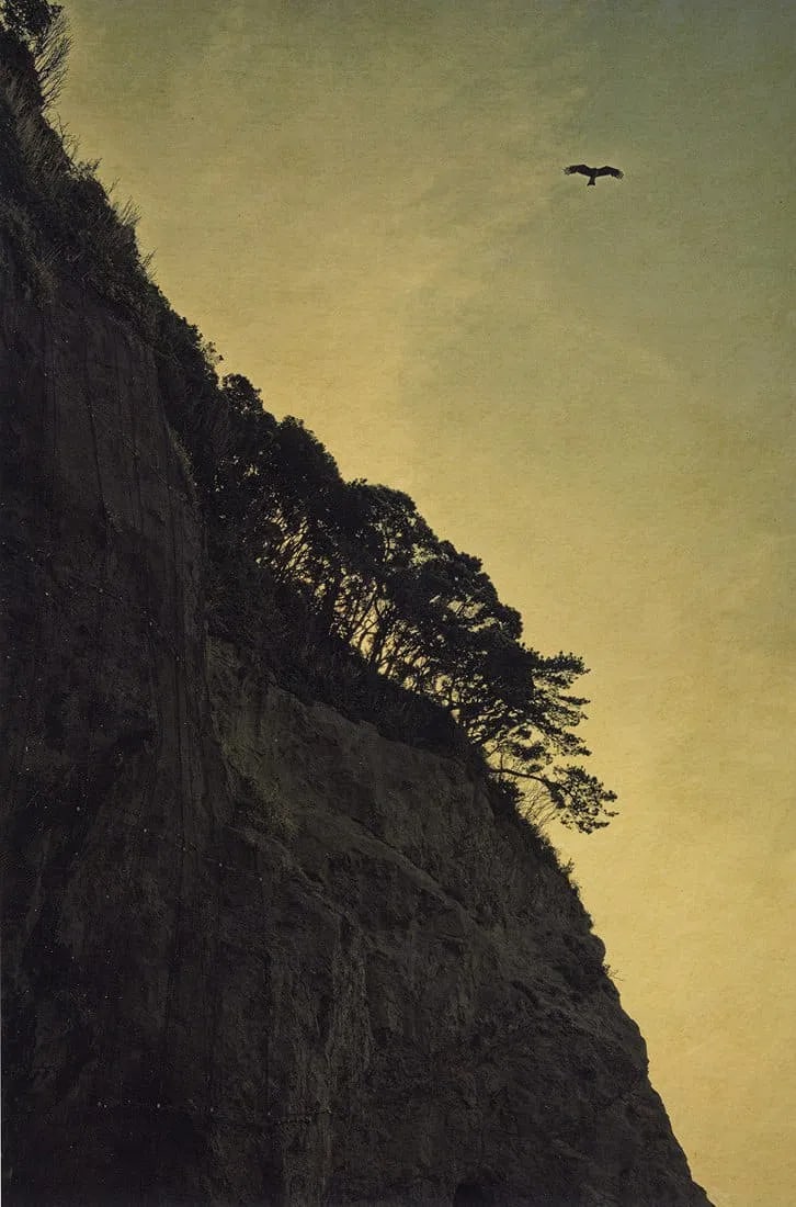 Albarran Cabrera Print: Albarran Cabrera Print. The Mouth of Krishna #226, "2015". Printed in 2020. 6.25 x 9.45 inches. Please be aware that all lots in our auctions are sold "AS IS," in accordance with the Terms &