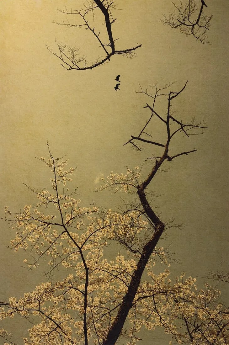 Albarran Cabrera Print: Albarran Cabrera Print. The Mouth of Krishna #775, "2018". Printed in 2020. 6.30 x 9.45 inches. Please be aware that all lots in our auctions are sold "AS IS," in accordance with the Terms &