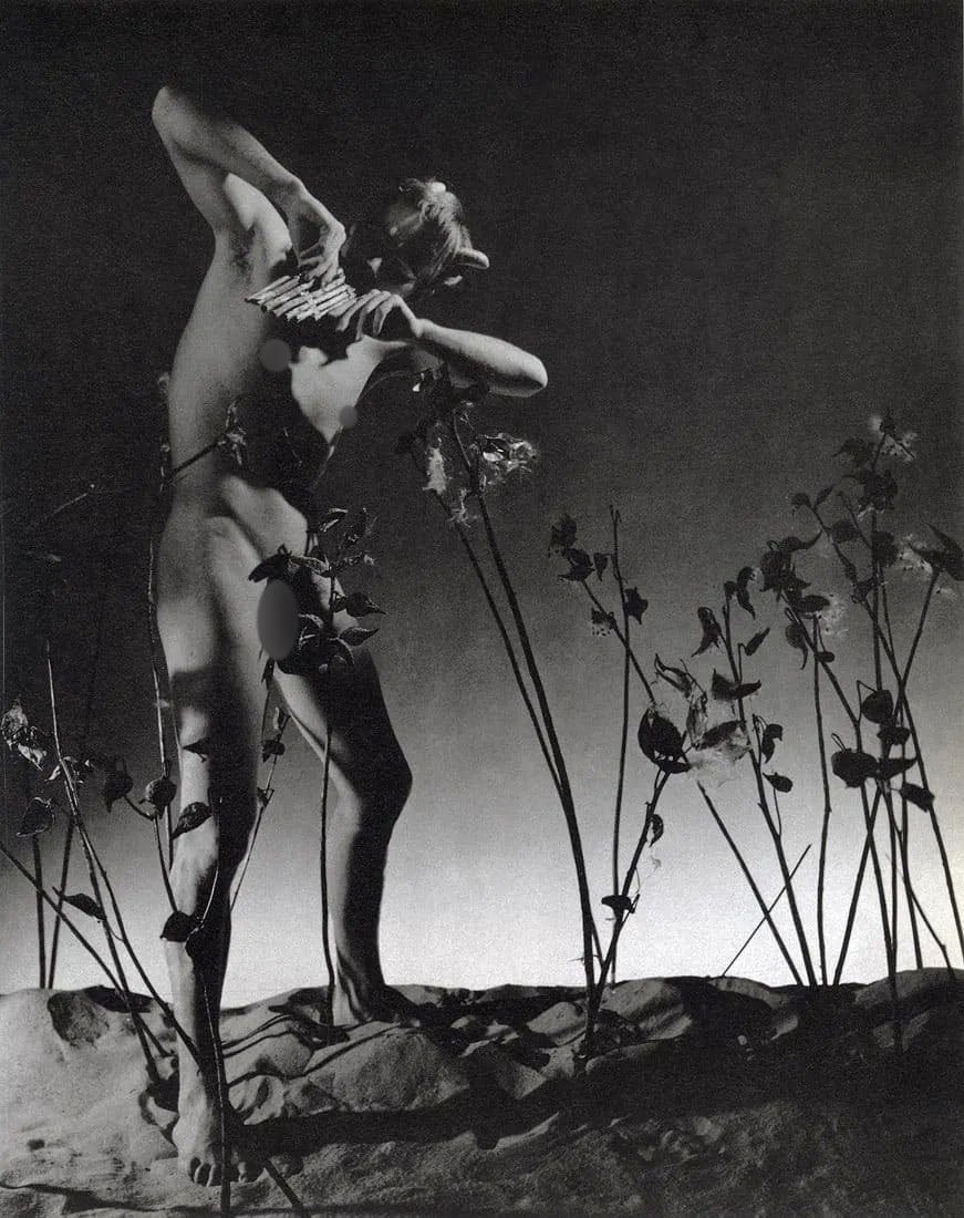 George Platt-Lynes (American, 1917- 2009) Print (1 of 1)