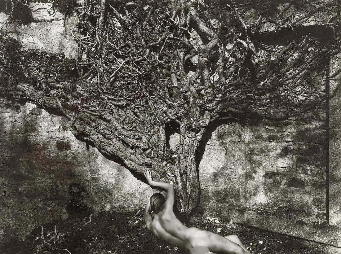 John Swannell (British, b. 1946) Print: John Swannell (British, b. 1946) Print. Female Figure. Printed in 1986. 11.90 x 8.90 inches. Please be aware that all lots in our auctions are sold "AS IS," in accordance with the Terms & Conditions o