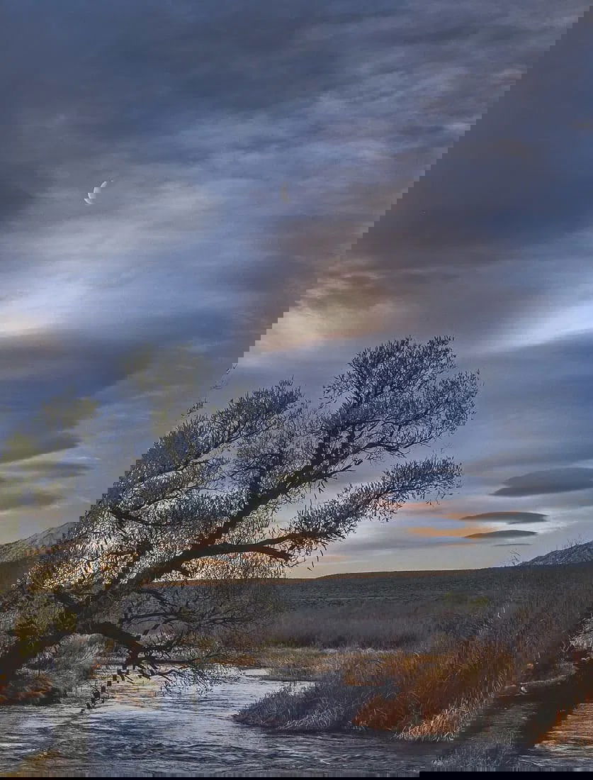 Elizabeth Carmel (British, b. 1964) Print: Elizabeth Carmel (British, b. 1964) Print. Half Moon, Sunrise, Owens River. Printed in 2006. 7.60 x 9.95 inches. Please be aware that all lots in our auctions are sold "AS IS," in accordance with the