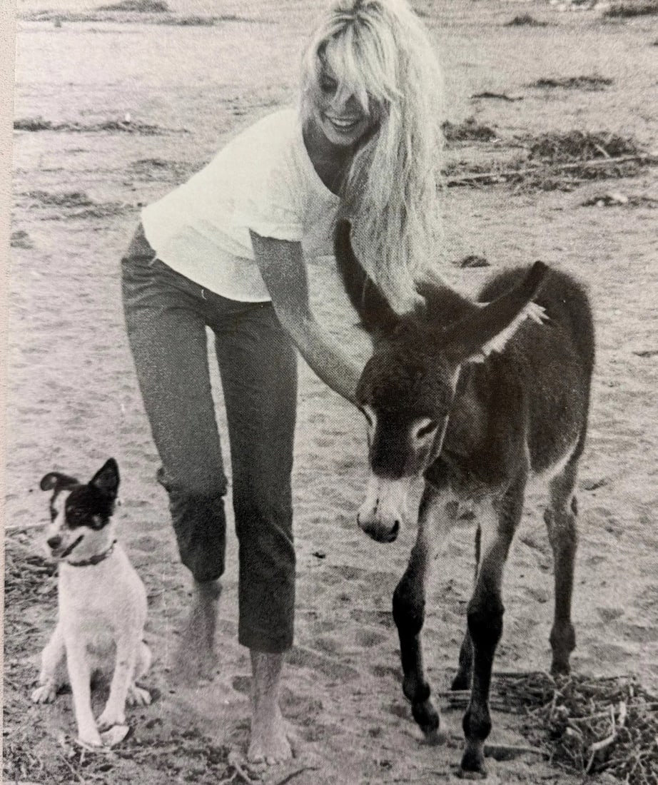 Brigitte Bardot (French, b. 1934) Print: Brigitte Bardot (French, b. 1934) Print. Printed in 1994, United Kingdom. 7.00 x 5.50 inches. Please be aware that all lots in our auctions are sold "AS IS," in accordance with the Terms & Conditions