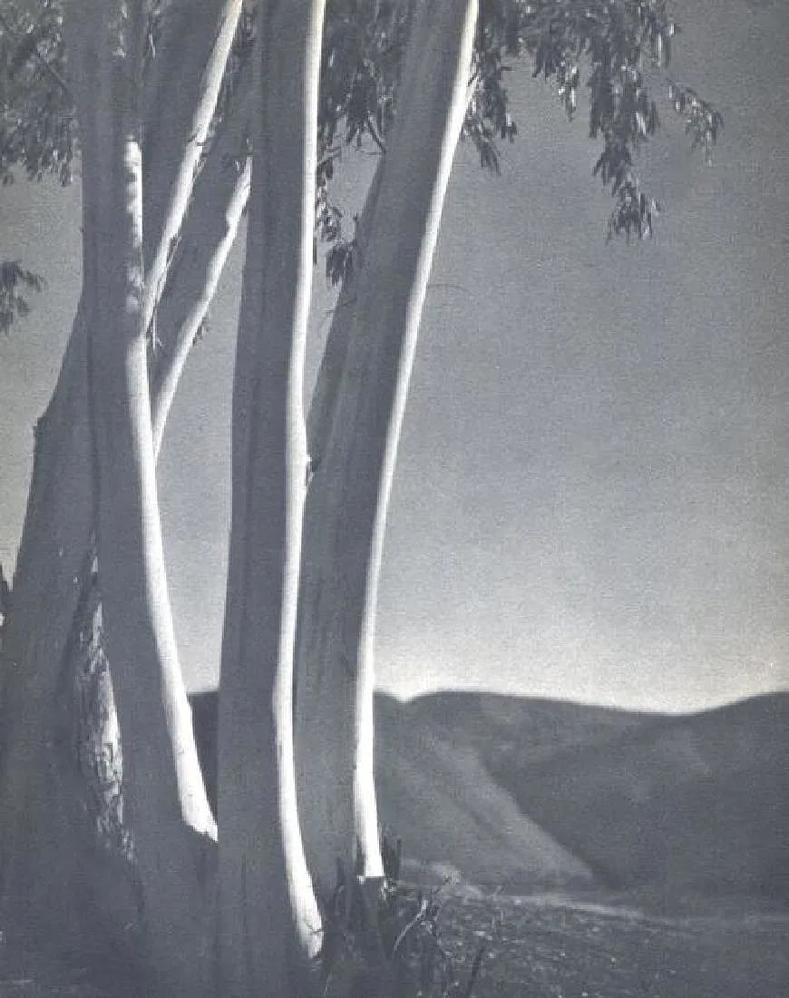 George H Phillips Print: George H Phillips Print. Sentinels. Printed in 1935. 7.00 x 10.00 inches. Please be aware that all lots in our auctions are sold "AS IS," in accordance with the Terms & Conditions of the Auction. All