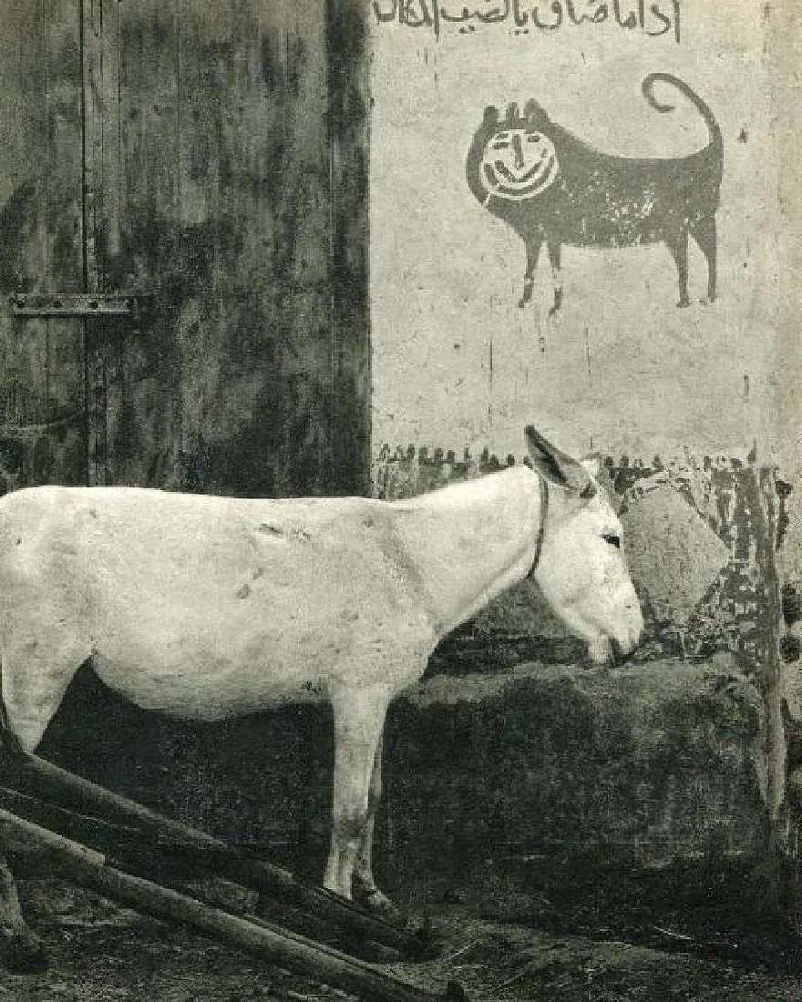 Paul Strand (American,1890–1976 ) Print: Paul Strand (American,1890–1976 ) Print. Donkey, Egypt. Printed in 1969. 7.50 x 9.50 inches. Please be aware that all lots in our auctions are sold "AS IS," in accordance with the Terms &