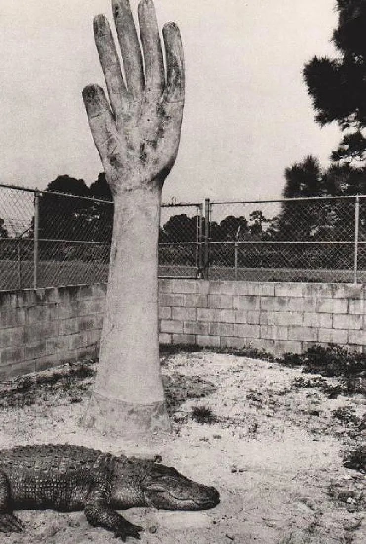 Burk Uzzle (American, b. 1938 ) Print: Burk Uzzle (American, b. 1938 ) Print.1938 ) Print. Arm and Alligator, Florida. Printed in 1985. 7.00 x 11.00 inches. Please be aware that all lots in our auctions are sold "AS IS," in accordance