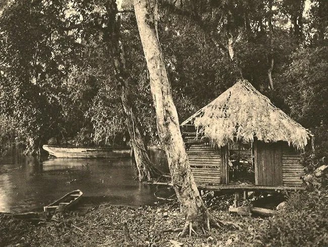 Hugo Brehme (German-Born-Mexican,1882-1954 ) Print: Hugo Brehme (German-Born-Mexican,1882-1954 ) Print. Coastal cabin, Honduras. Printed in 1931. 8.25 x 6.25 inches. Please be aware that all lots in our auctions are sold "AS IS," in accordance with the