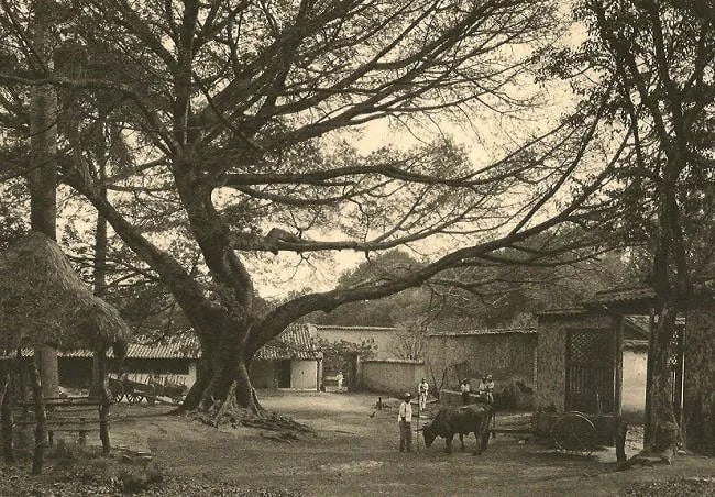 Hugo Brehme (German-Born-Mexican,1882-1954 ) Print: Hugo Brehme (German-Born-Mexican,1882-1954 ) Print. Country place. Santa Ana. Printed in 1931. 8.25 x 5.75 inches. Please be aware that all lots in our auctions are sold "AS IS," in accordance with th