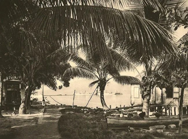 Hugo Brehme (German-Born-Mexican,1882-1954 ) Print: Hugo Brehme (German-Born-Mexican,1882-1954 ) Print. Puerto Barrios. Printed in 1931. 8.25 x 6.25 inches. Please be aware that all lots in our auctions are sold "AS IS," in accordance with the Terms &