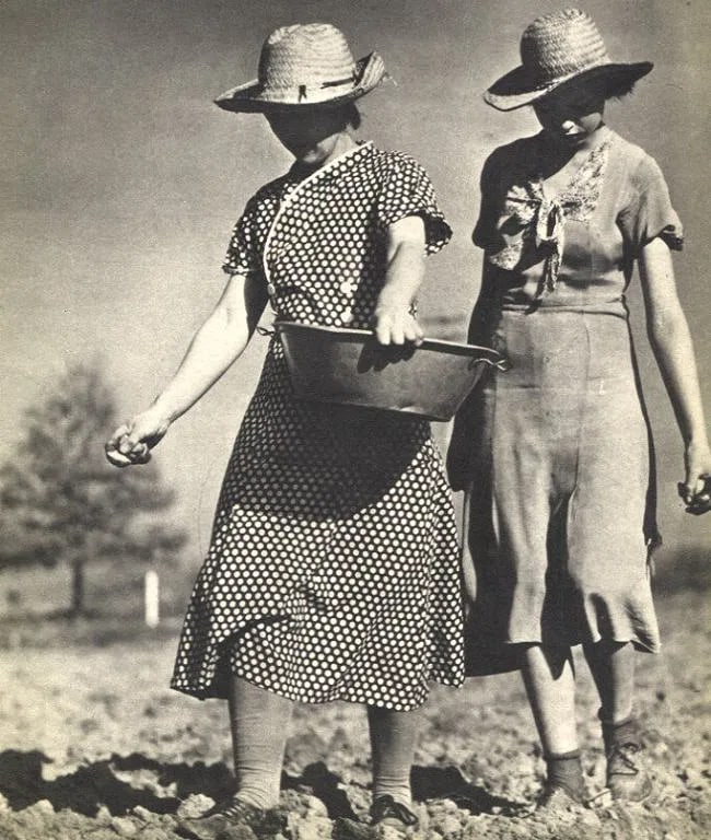 Bourke-White, M (American,1904-1971 ) Print: Bourke-White, M (American,1904-1971 ) Print. Highlands, Tennessee. Printed in 1937. 6.00 x 8.00 inches. Please be aware that all lots in our auctions are sold "AS IS," in accordance with the Terms &