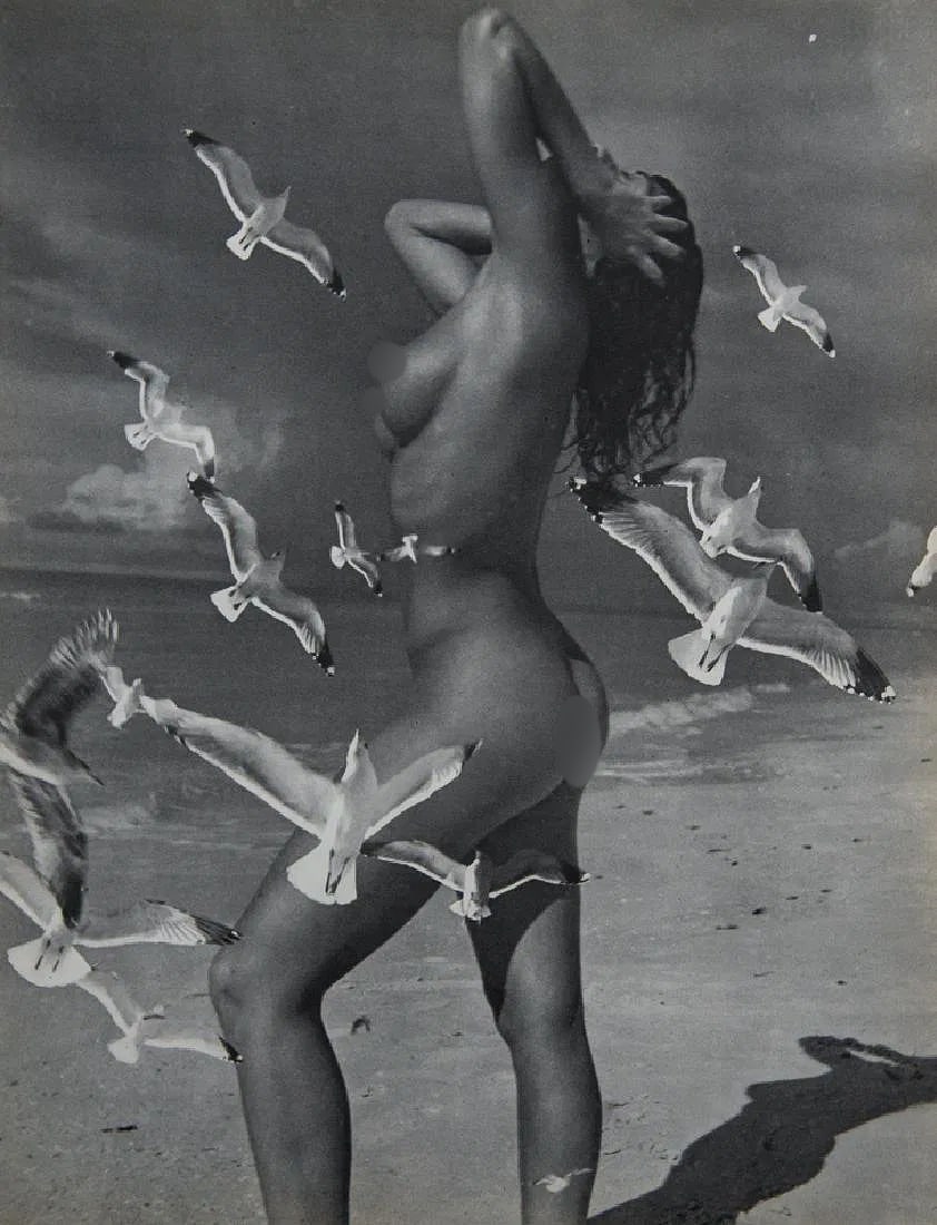 Andre de Dienes (Hungarian-American, 1913-1985) Print: Andre de Dienes (Hungarian-American, 1913-1985) Print. Nude. Photogravure, Printed in 1956. 8.25 x 10.75 inches. Printed during the artistâ€™s lifetime. Not hand-signed unless otherwi