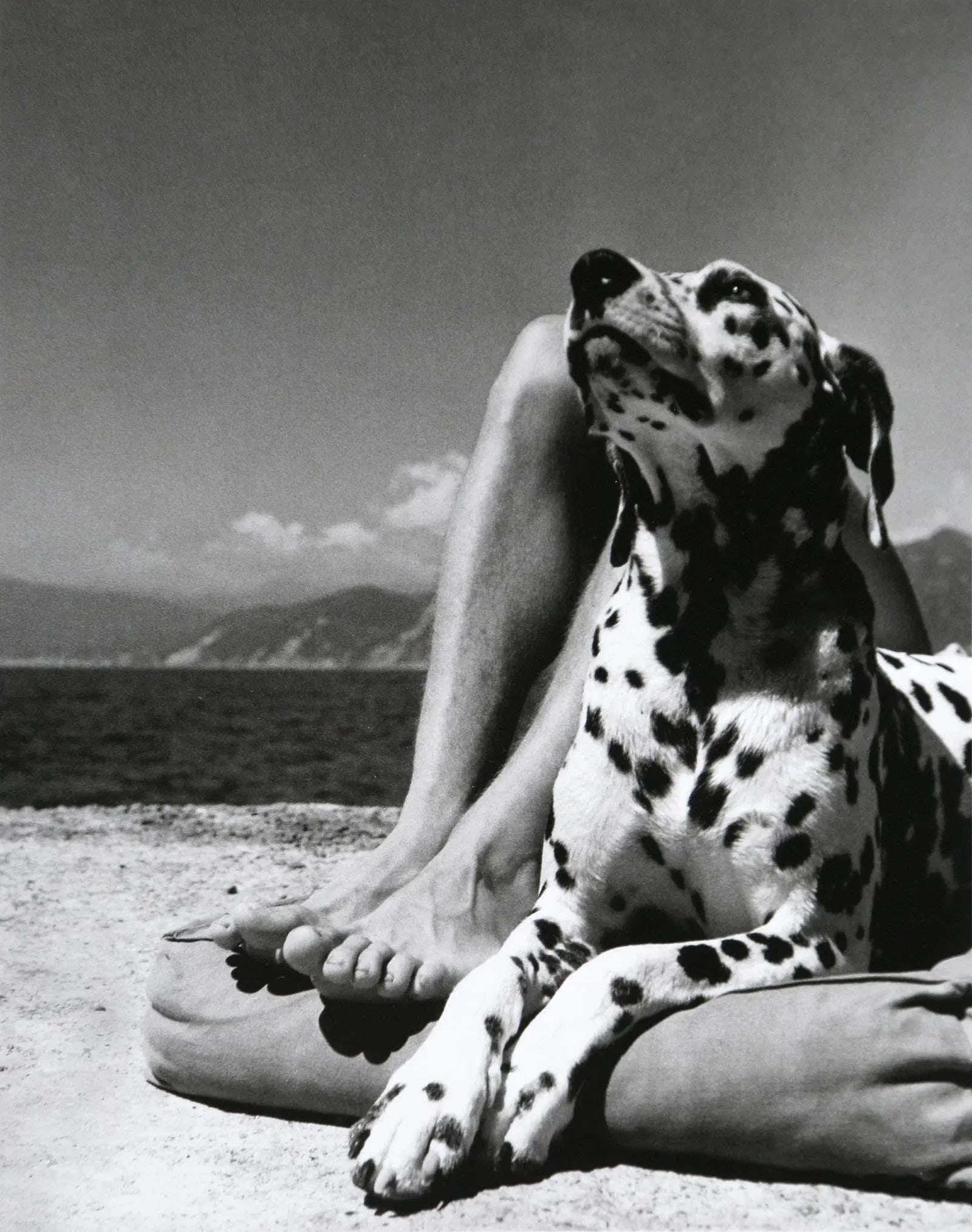 Herbert List (German, 1903-1975) Print: Herbert List (German, 1903-1975) Print. Portofino, "1936". Photogravure, Printed in 2008. 7.50 x 5.90 inches. Magnum photos. Not hand-signed unless otherwise stated. Lots that contain nudity have been