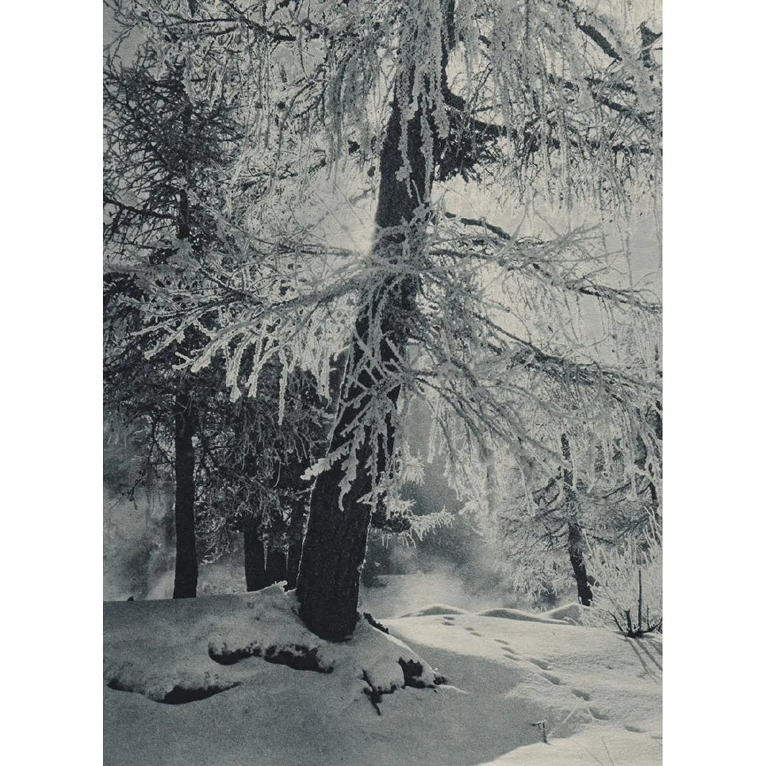 Arthur Neustadt Print (1 of 1)