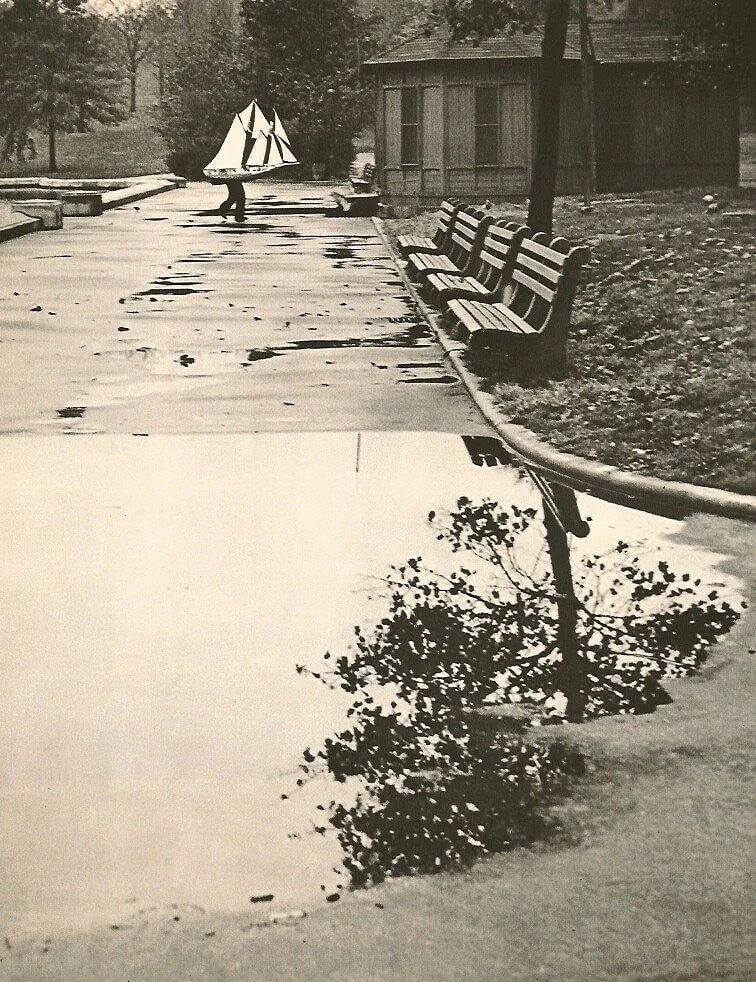 André Kertész (Hungarian, 1894-1985) Print (1 of 1)