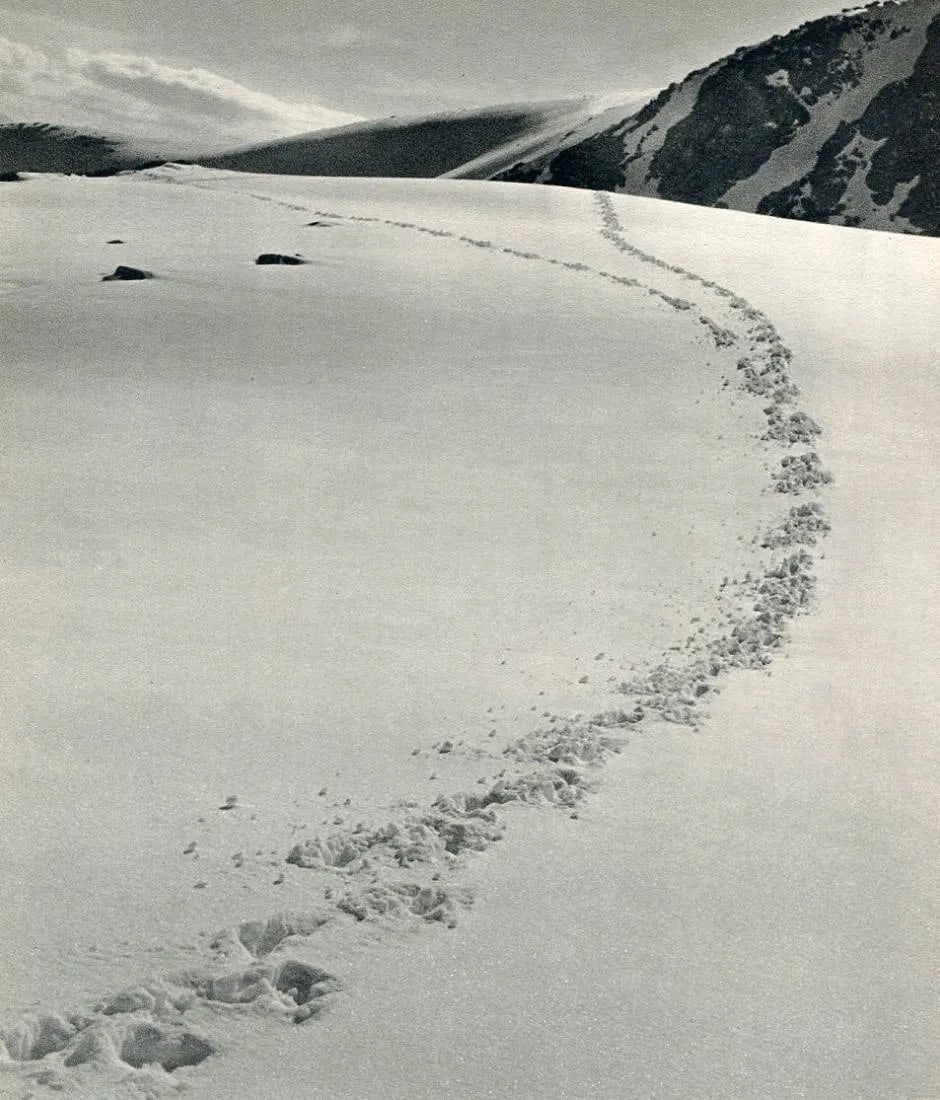 Karel Svidrnoch Print (1 of 1)