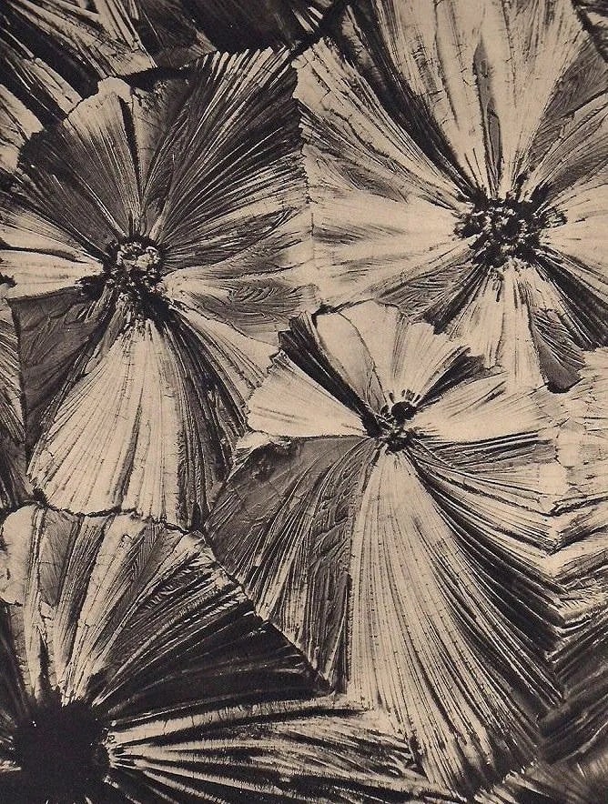 Julius Widmayer Print: Julius Widmayer Print. Crystal Microphotography. Printed in 1930. 7" x 9" inches. Not hand-signed unless otherwise stated. Photomechanical Print. Lots that contain nudity have been partially obscured 