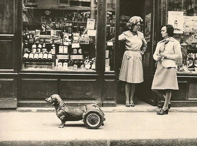 Robert Doisneau (French, 1912-1994) Print: Robert Doisneau (French, 1912-1994) Print. Dog on Wheels. Printed in 1979. 7" X 5" inches. Not hand-signed unless otherwise stated. Photomechanical Print. Lots that contain nudity have been partially