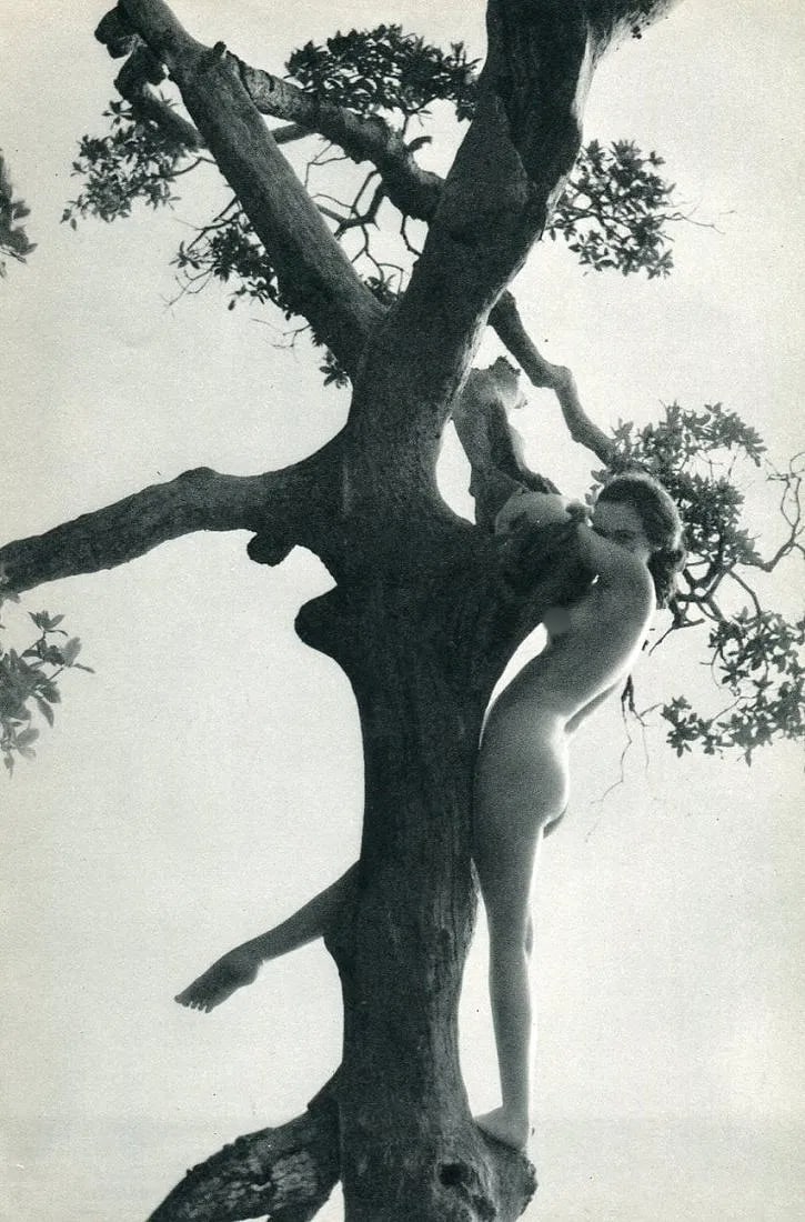 Nell Dorr (American, 1893-1988) Print: Nell Dorr (American, 1893-1988) Print. Florida Keys. Printed in 1939. 5.5" x 8.5" inches. Not hand-signed unless otherwise stated. Photomechanical Print. Lots that contain nudity have been partially