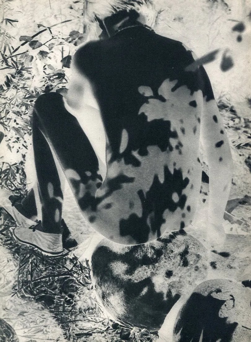 László Moholy-Nagy (Hungarian, 1895-1946) Print (1 of 1)