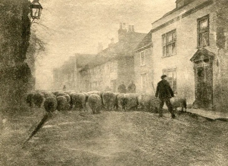 G. Davison Print: G. Davison Print. Village Under South Downs - Gravure. Printed in 1905. 5 x 4 inches. Not hand-signed unless otherwise stated. Photomechanical Print. Lots that contain nudity have been partially obscu