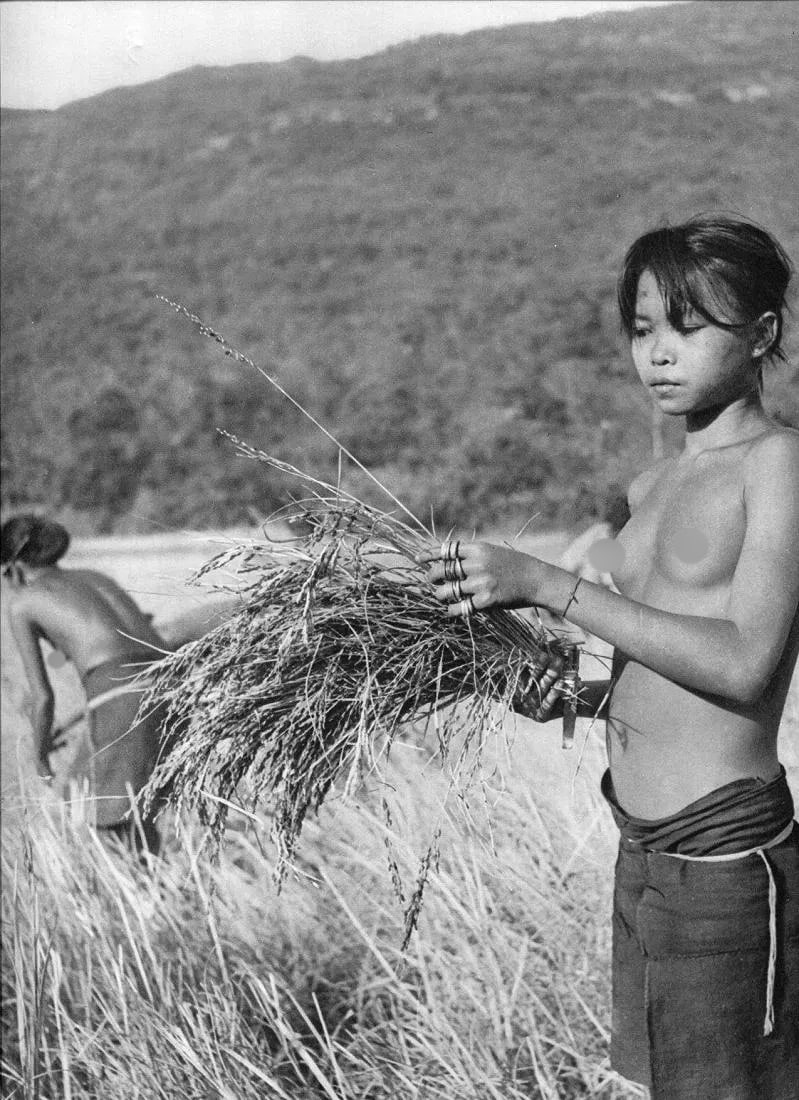 Raoul Coutard (French, 1924-2016) Print: Raoul Coutard (French, 1924-2016) Print. Thai Girls gathering. Printed in 1954. 9 x 12 inches. Not hand-signed unless otherwise stated. Photomechanical Print. Lots that contain nudity have been
