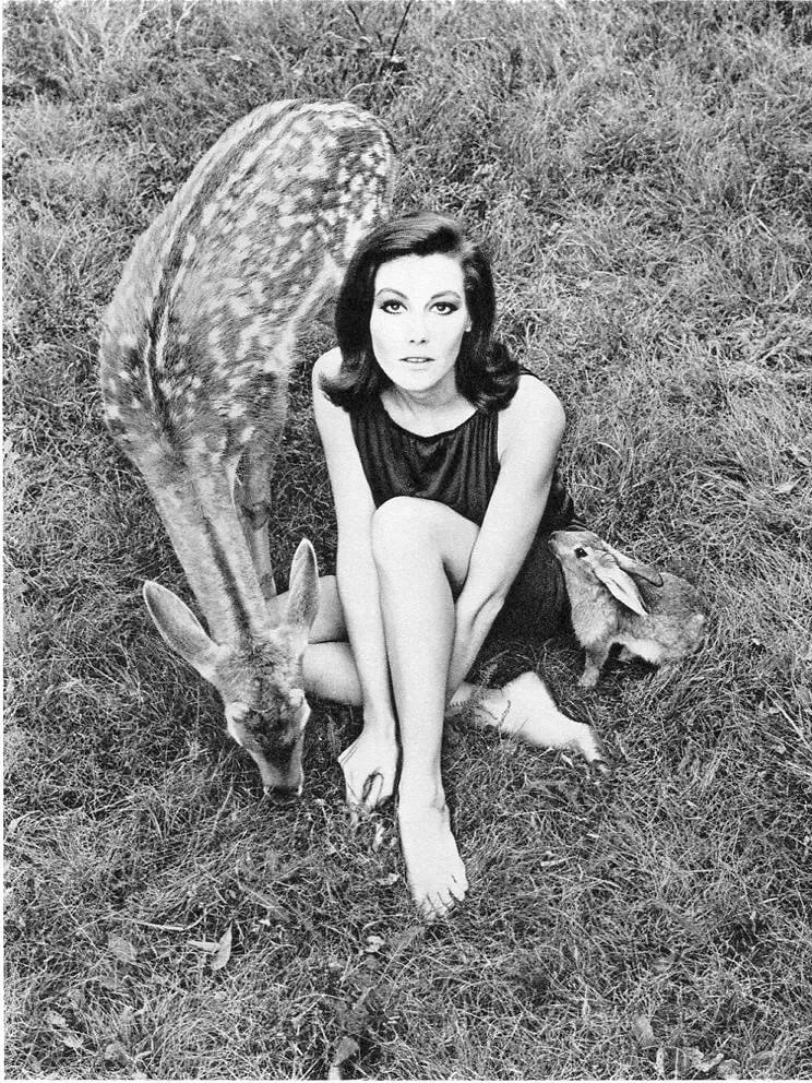Wingate Paine (American, 1915–1987) Print: Wingate Paine (American, 1915–1987) Print. Doe - Gravure. Printed in . 5 x 7 inches. Not hand-signed unless otherwise stated. Photomechanical Print. Lots that contain nudity have been partially
