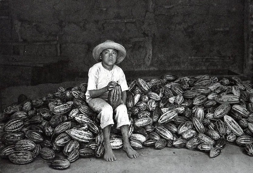 Hugo Brehme (German, 1882-1954) Print: Hugo Brehme (German, 1882-1954) Print. Mestizo Boy with Cacao Fruits. Printed in 1931. 7 x 9 inches. Not hand-signed unless otherwise stated. Photomechanical Print. Lots that contain nudity have been 