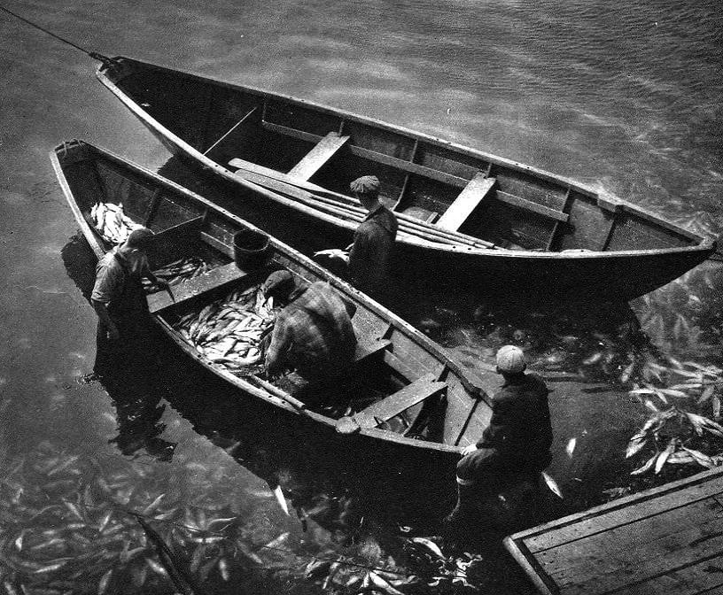 Adolf Fassbender (German-American, 1884-1980) Print: Adolf Fassbender (German-American, 1884-1980) Print. Fish a Plenty - Photogravure. Printed in 1935. 8 X 7 inches. Not hand-signed unless otherwise stated. Photomechanical Print. Lots that contain nudi