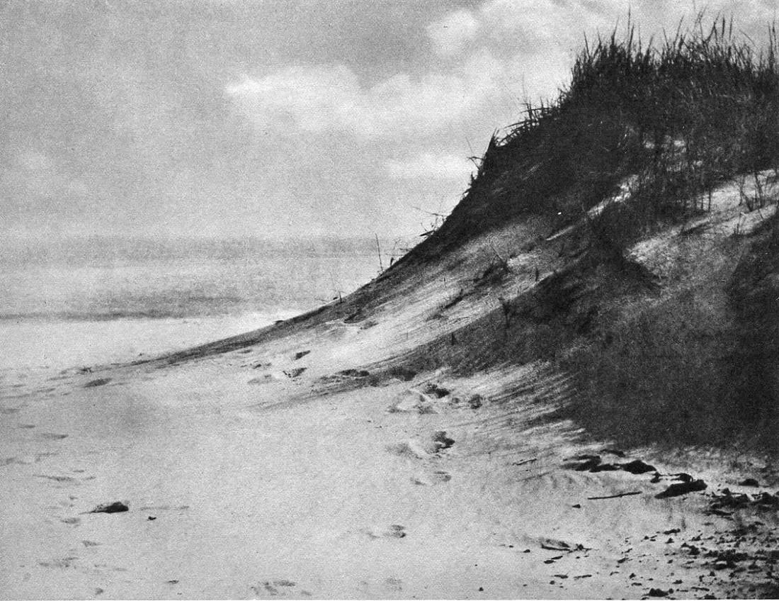 Wilfred H Wolfs Print: Wilfred H Wolfs Print. The Dunes - Gravure. Printed in 1938. 8 x 6 inches. Not hand-signed unless otherwise stated. Photomechanical Print. Lots that contain nudity have been partially obscured in the 