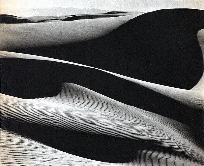 Edward Weston (American, 1886-1958) Print (1 of 1)