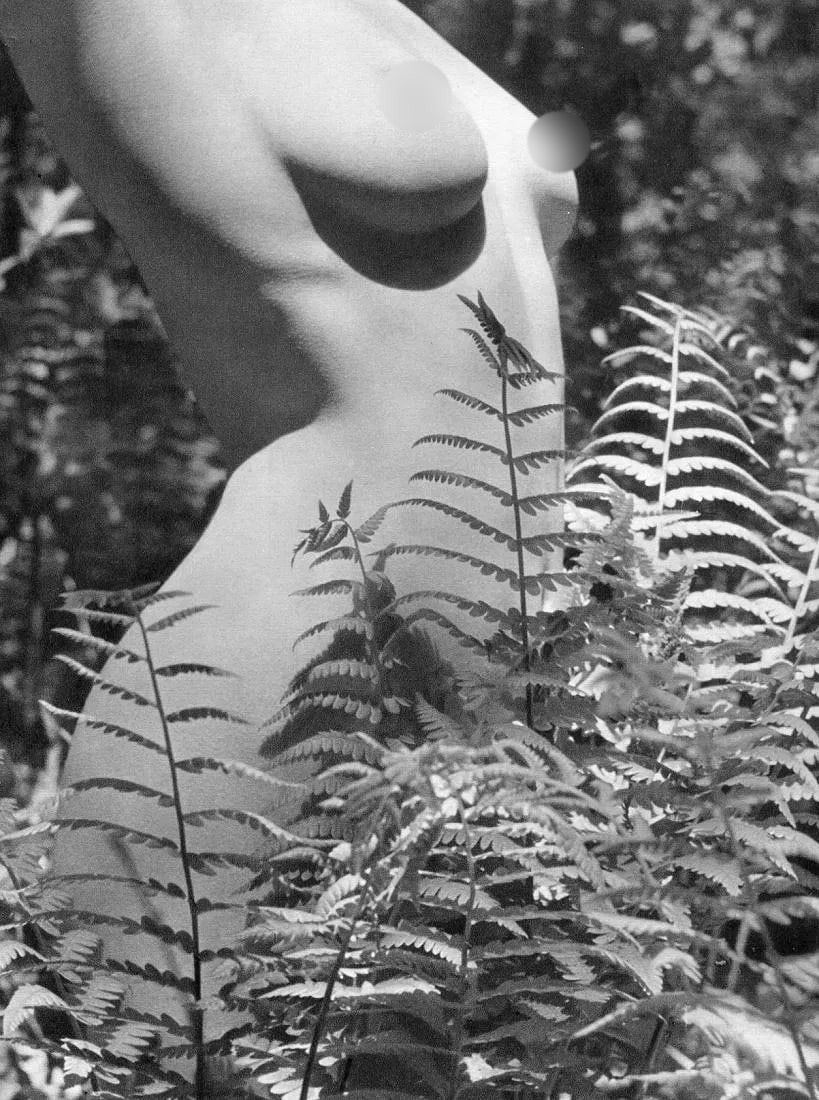 Fritz Henle (German, 1909-1993) Print (1 of 1)