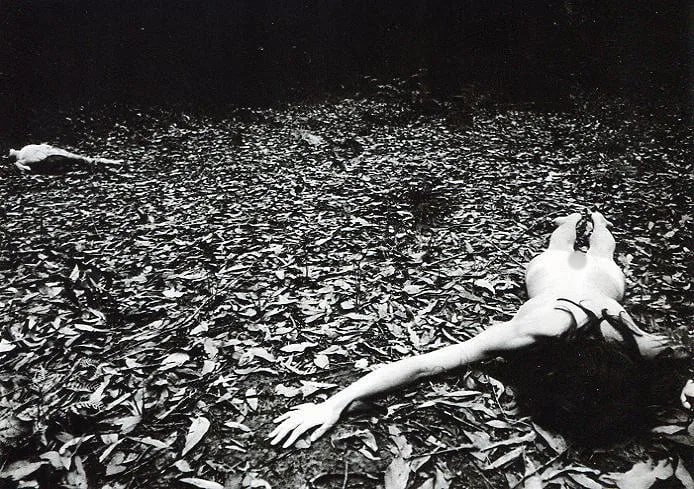 Paul Cox Print: Paul Cox Print. Nudes in field - PhotoGravure. Printed in 1975. 7 x 5.5 inches. Not hand-signed unless otherwise stated. Photomechanical Print. Lots that contain nudity have been partially obscured