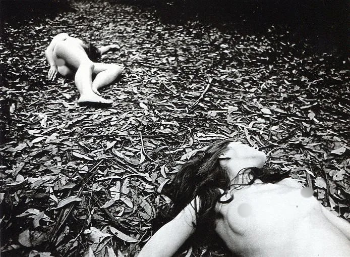 Paul Cox Print: Paul Cox Print. Nudes in field - PhotoGravure. Printed in 1975. 7 x 5.5 inches. Not hand-signed unless otherwise stated. Photomechanical Print. Lots that contain nudity have been partially obscured
