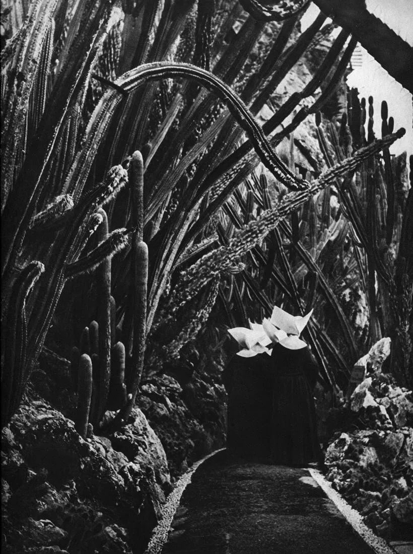Brassai (Hungarian-French, 1899-1984) Print: Brassai (Hungarian-French, 1899-1984) Print. Nuns and Thorns - Vintage Gravure. Printed in 1947. 8 x 11 inches. Not hand-signed unless otherwise stated. Photomechanical Print. Lots that contain