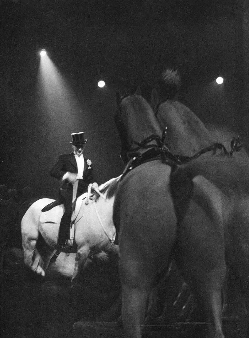 Marcel Bovis (French, 1904-1997) Print: Marcel Bovis (French, 1904-1997) Print. Circus Horse - Vintage Gravure. Printed in 1938. 9 x 11 inches. Not hand-signed unless otherwise stated. Photomechanical Print. Lots that contain nudity have