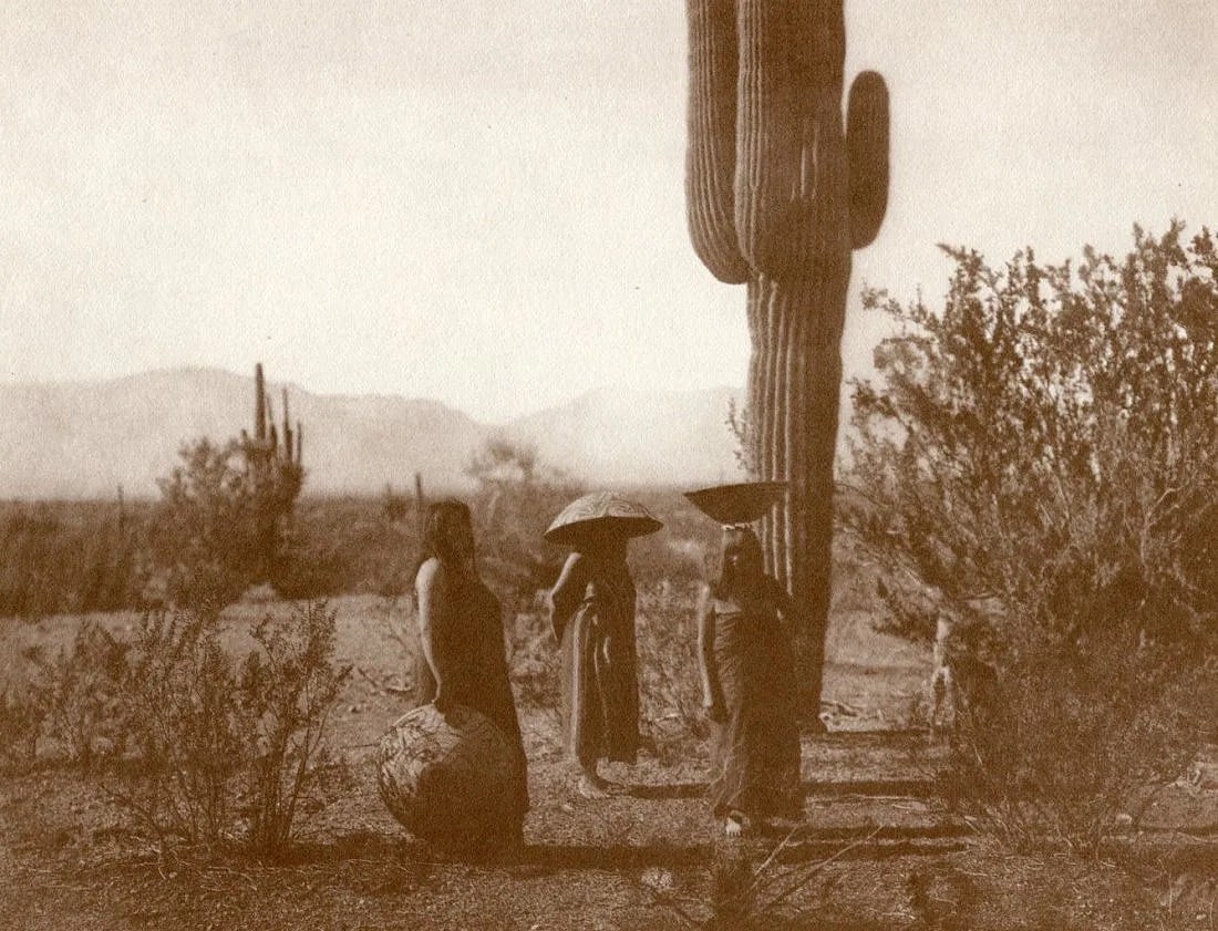 Edward S Curtis (American, 1868-1952) Print: Edward S Curtis (American, 1868-1952) Print. Sagauaro Fruit Gatherers Maricopa. Printed in 1972. 6 x 9 inches. Not hand-signed unless otherwise stated. Photomechanical Print. Lots that contain nudity