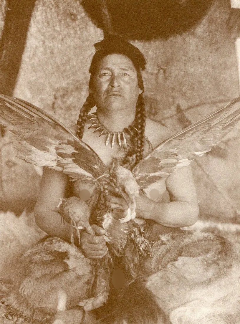 Edward S Curtis (American, 1868-1952) Print: Edward S Curtis (American, 1868-1952) Print. Assiniboin - Vintage Gravure. Printed in 1972. 6 x 9 inches. Not hand-signed unless otherwise stated. Photomechanical Print. Lots that contain nudity have