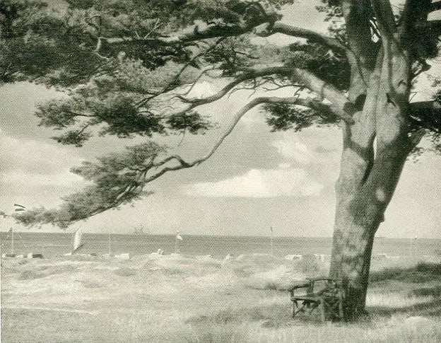 Dr. Baier Wolfgang Print: Dr. Baier Wolfgang Print. Waterfront Vista. Printed in 1933. 6.00 x 5.00 inches Not hand-signed unless otherwise stated. Photomechanical Print. Lots that contain nudity have been partially obscured