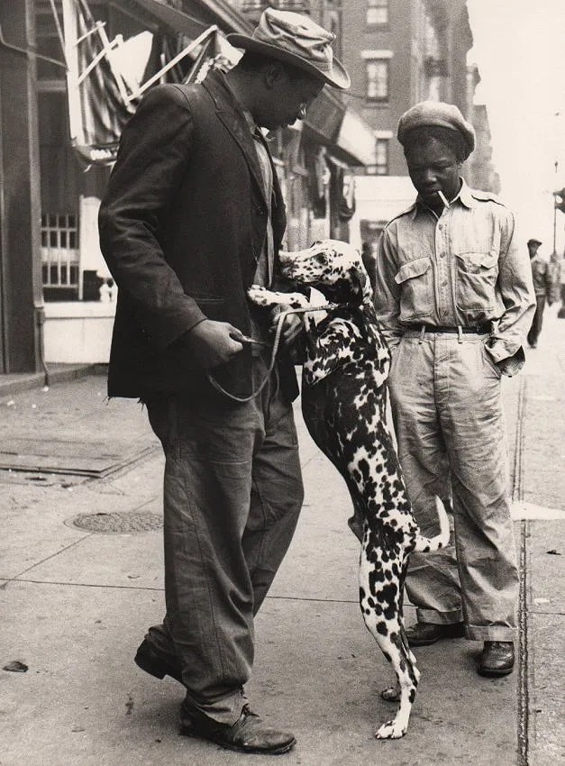 Richard Avedon (American, 1923-2004) Print: Richard Avedon (American, 1923-2004) Print. NYC Harlem. Printed in 1993. 11.00 x 14.00 inches Not hand-signed unless otherwise stated. Photomechanical Print. Lots that contain nudity have been partial