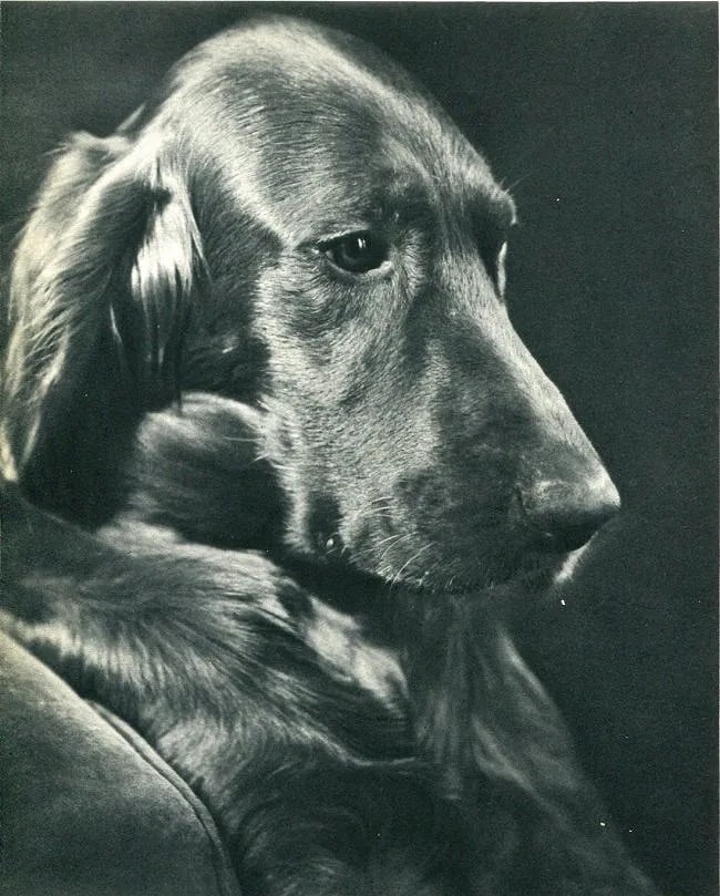 Rowena Brownell (American, 1887-1978) Print (1 of 1)
