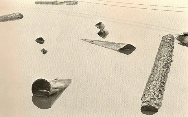Wynn Bullock (American, 1902-1975) Print (1 of 1)