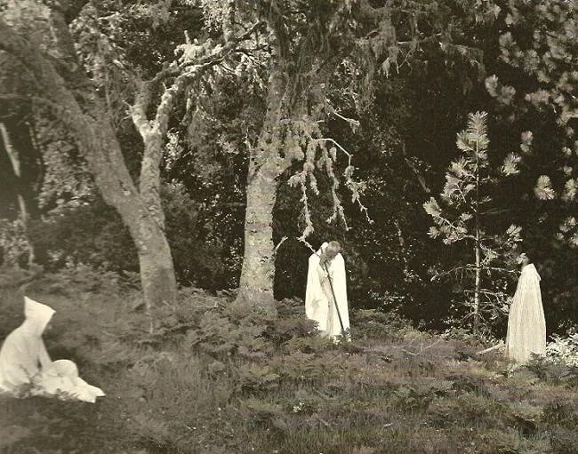 Wynn Bullock (American, 1902-1975) Print: Wynn Bullock (American, 1902-1975) Print. In the Forest. Printed in 1971. 8.00 x 6.00 inches Not hand-signed unless otherwise stated. Photomechanical Print. Lots that contain nudity have been partiall