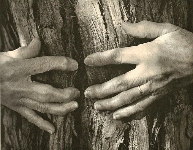 Wynn Bullock (American, 1902-1975) Print: Wynn Bullock (American, 1902-1975) Print. Tree Hugger. Printed in 1971. 8.00 x 6.00 inches Not hand-signed unless otherwise stated. Photomechanical Print. Lots that contain nudity have been partially