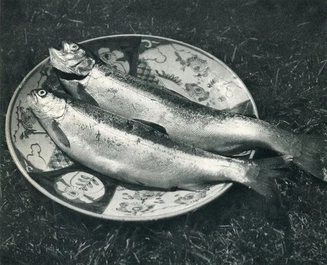 Hideharu Fukuyama Print: Hideharu Fukuyama Print. 2 Fish on Plate. Printed in 1936. 7.50 x 6.00 inches Not hand-signed unless otherwise stated. Photomechanical Print. Lots that contain nudity have been partially obscured in t