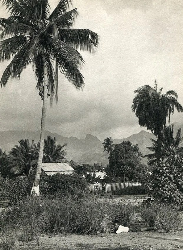 Lucien Gauthier Print: Lucien Gauthier Print. Papeete Fare Tahiti Ute. Printed in 1933. 4.50 x 6.00 inches Not hand-signed unless otherwise stated. Photomechanical Print. Lots that contain nudity have been partially