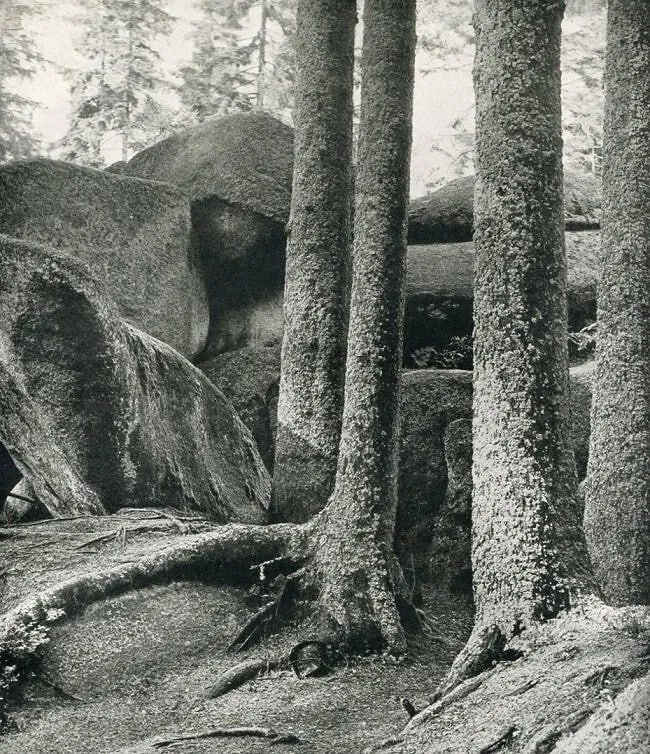 Hannes Schmitt Print: Hannes Schmitt Print. Hunengrab. Printed in 1938. 7.00 x 8.00 inches Not hand-signed unless otherwise stated. Photomechanical Print. Lots that contain nudity have been partially obscured in the