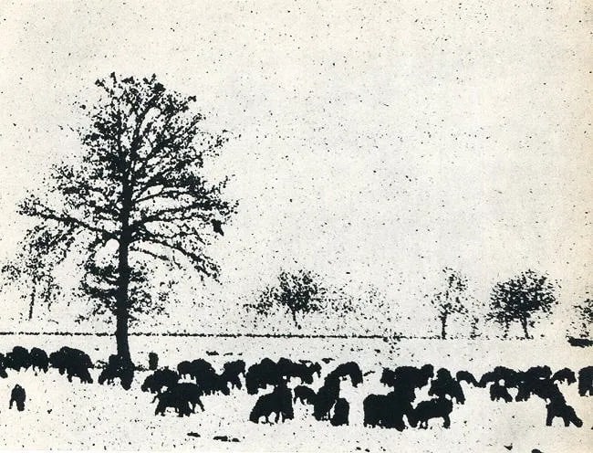 Jacques Bourguignon Print: Jacques Bourguignon Print. Snow. Printed in 1960. 7.5 x 5.5 round inches Not hand-signed unless otherwise stated. Photomechanical Print. Lots that contain nudity have been partially obscured in the