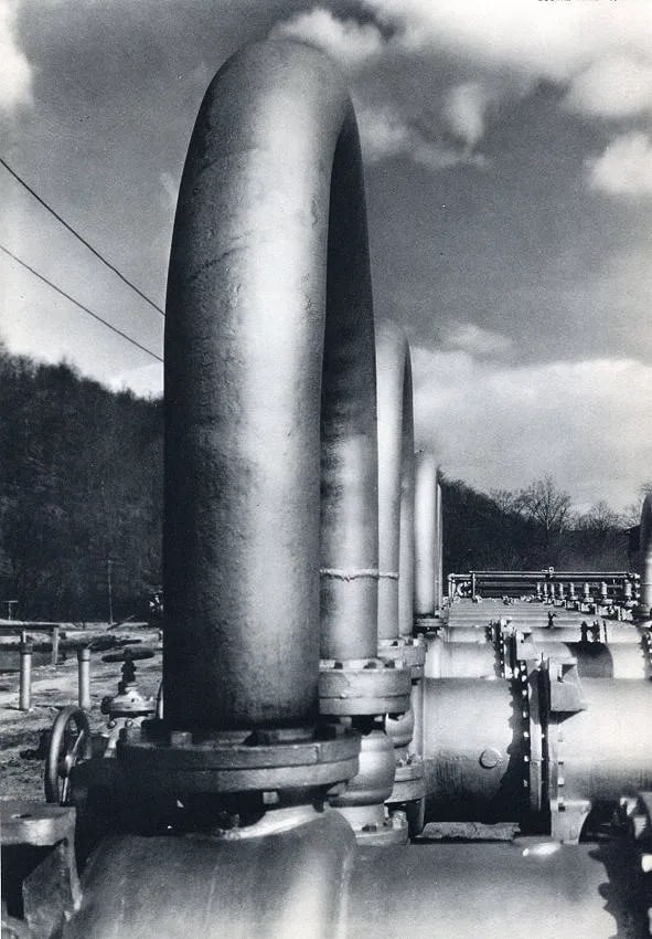Margaret Bourke-White (American, 1904-1971) Print (1 of 1)