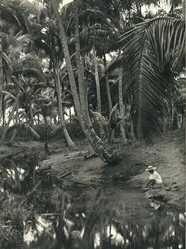 Lucien Gauthier (French, 1875-1971) Print: Lucien Gauthier (French, 1875-1971) Print. Stream in a Coconut Grove. Printed in 1933. 4.50 x 6.00 inches Not hand-signed unless otherwise stated. Photomechanical Print. Lots that contain nudity have 